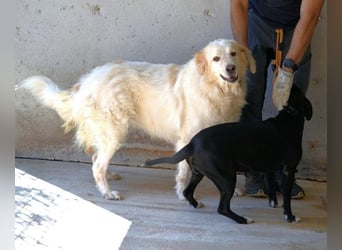 Skilah - Wenn Niemand zu Jemand wird