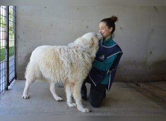 Leverett - Ich sehe was, was du (noch) nicht siehst!