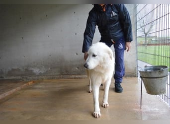 Rosvielle - Auf einer Skala von 1 bis 10....