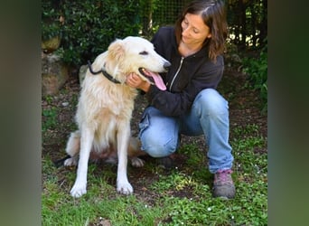 Isana - Wo ist mein neues Leben?