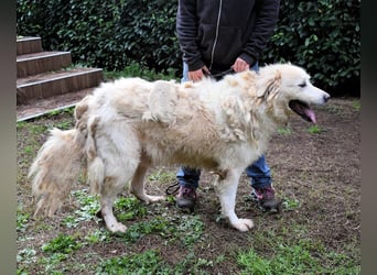 Eluard - Hoffnung auf echte Freundschaft!