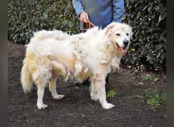 Apolonio - möchte für seine Menschen ein Fels in der Brandung sein