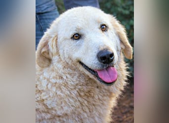 Dayton - niemals ist eine schrecklich lange Zeit