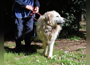 Noak - Alles nur Wunschdenken... ?