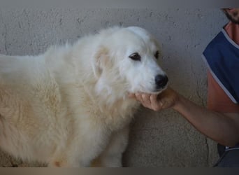 Amaya - So schön und so schrecklich? Amaya - So schön und so schrecklich?