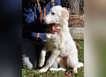 Heathon - sucht die Liebe seines Lebens