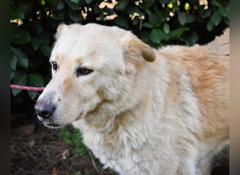 Antiloco - Nur ein Wunsch: endlich nach Hause!