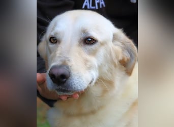 Yannick - eine zweite Kindheit?