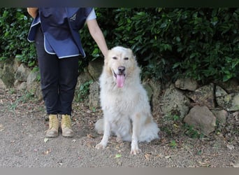 Paolo - Oh, huch, wow!!!