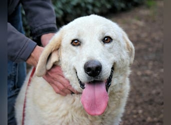 Dayton - niemals ist eine schrecklich lange Zeit