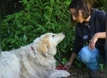 Filomela - Vom Sorgenkind zum Sonnenschein