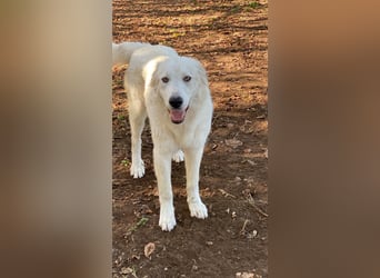 Madea - in ihrer ganzen Schönheit