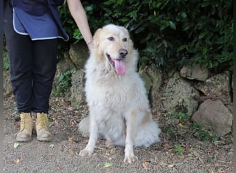 Paolo - Oh, huch, wow!!!