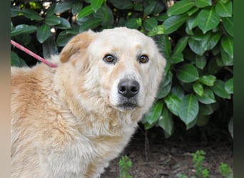 Antiloco - Nur ein Wunsch: endlich nach Hause!