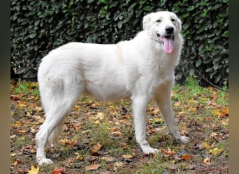 Yasmine - freundlicher Sonnenschein sucht sonniges Plätzchen