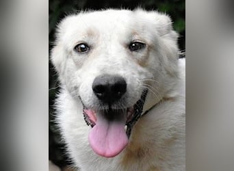 Yasmine - freundlicher Sonnenschein sucht sonniges Plätzchen