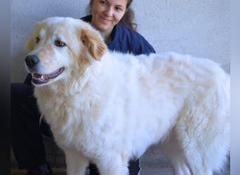 Skilah - Wenn Niemand zu Jemand wird