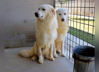 Fredrik - Für immer zusammen?