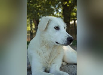 Madea - in ihrer ganzen Schönheit