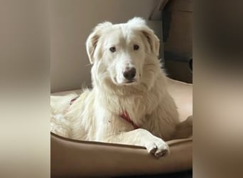 Stardust - Von der Erde zum Mond und zurück....