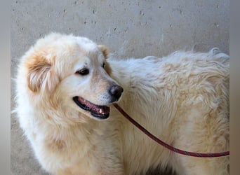 Skilah - Wenn Niemand zu Jemand wird