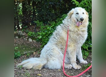 Filomela - Vom Sorgenkind zum Sonnenschein