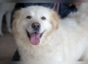 Skilah - Wenn Niemand zu Jemand wird