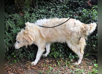 Eluard - Hoffnung auf echte Freundschaft!