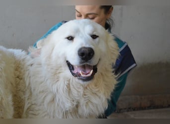 Leverett - Ich sehe was, was du (noch) nicht siehst!