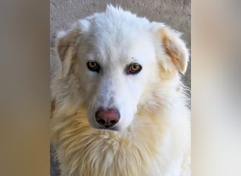 Fredrik - Was nach der Trennung kommt