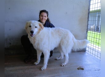 Skilah - Wenn Niemand zu Jemand wird
