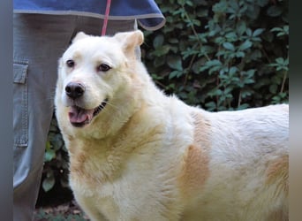 Zipper - Ein vergeudetes Leben