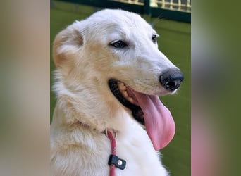 Isana - Wo ist mein neues Leben?