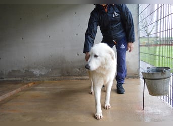 Rosvielle - Auf einer Skala von 1 bis 10....
