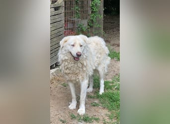 Sindbad - Zwischen Vorsicht und Vertrauen