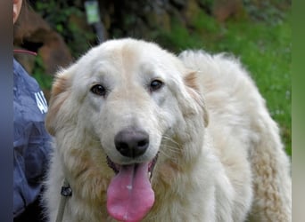 Filomela - Vom Sorgenkind zum Sonnenschein