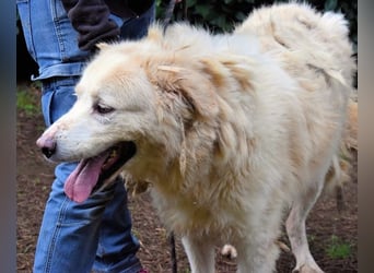 Eluard - Hoffnung auf echte Freundschaft!