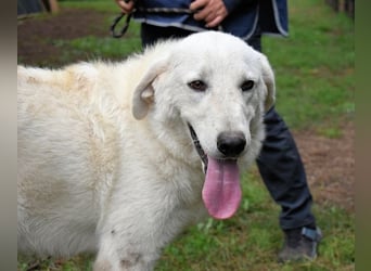 Dayton - niemals ist eine schrecklich lange Zeit