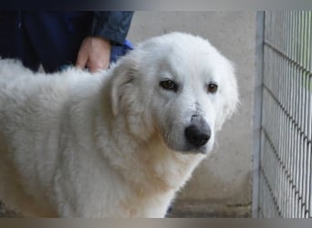 Rosvielle - Auf einer Skala von 1 bis 10....