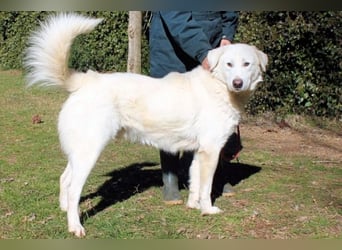 Sallustio - Der Sinn des Lebens