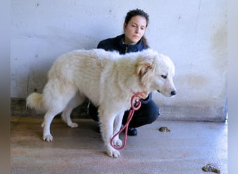 Skilah - Wenn Niemand zu Jemand wird