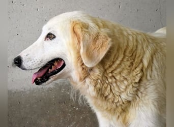 Benilda - Familiemutter in Not