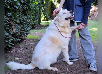 Zipper - Ein vergeudetes Leben