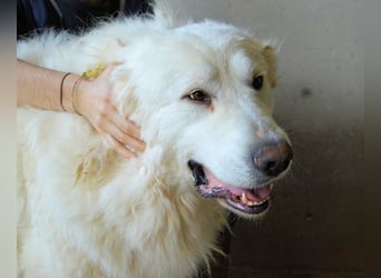 Leverett - Ich sehe was, was du (noch) nicht siehst!