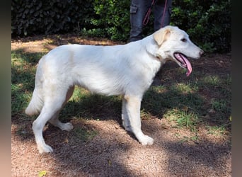 Isana - Wo ist mein neues Leben?