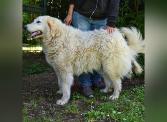 Filomela - Vom Sorgenkind zum Sonnenschein