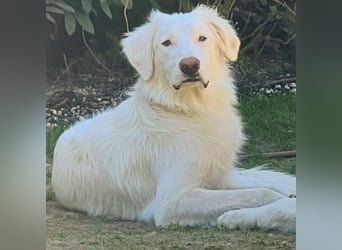 Stardust - Von der Erde zum Mond und zurück....