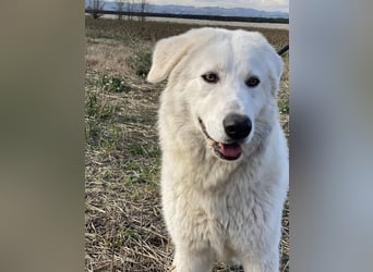 Mona - Ruhe, Würde und ein großes Herz