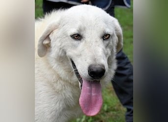 Dayton - niemals ist eine schrecklich lange Zeit