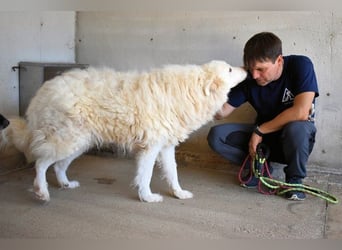 Haigen - SOS - Wenn das Foto zur Anklage wird.